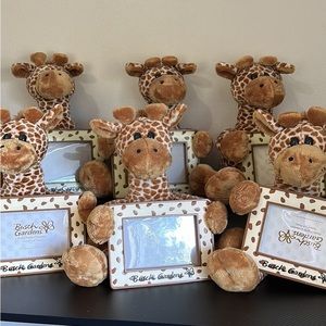 Busch garden’s giraffe 4x6 picture frames.